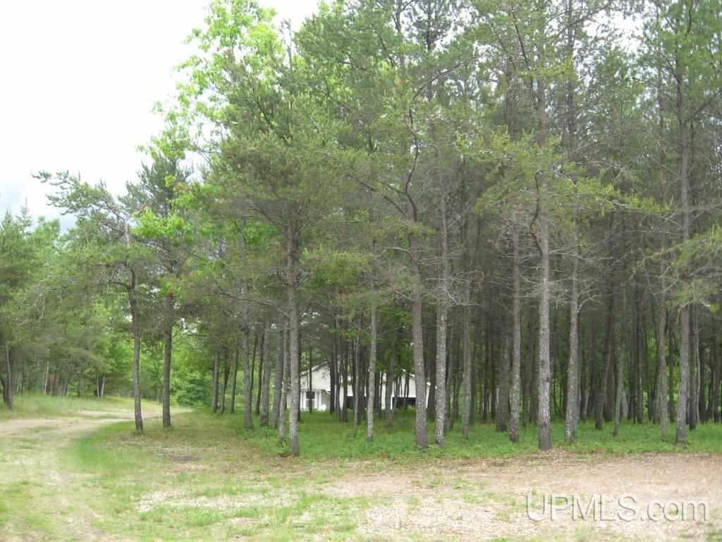 8473-schaawe 24th Road Rapid River, MI 49878 - Photo 21 of 22