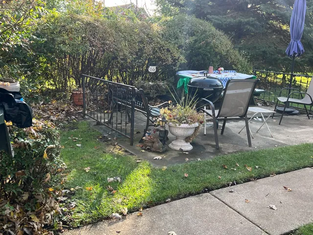 a view of a backyard