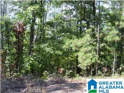 1292 County Road, Unit 1 45 Wedowee, AL 36278 - Photo 4 of 8