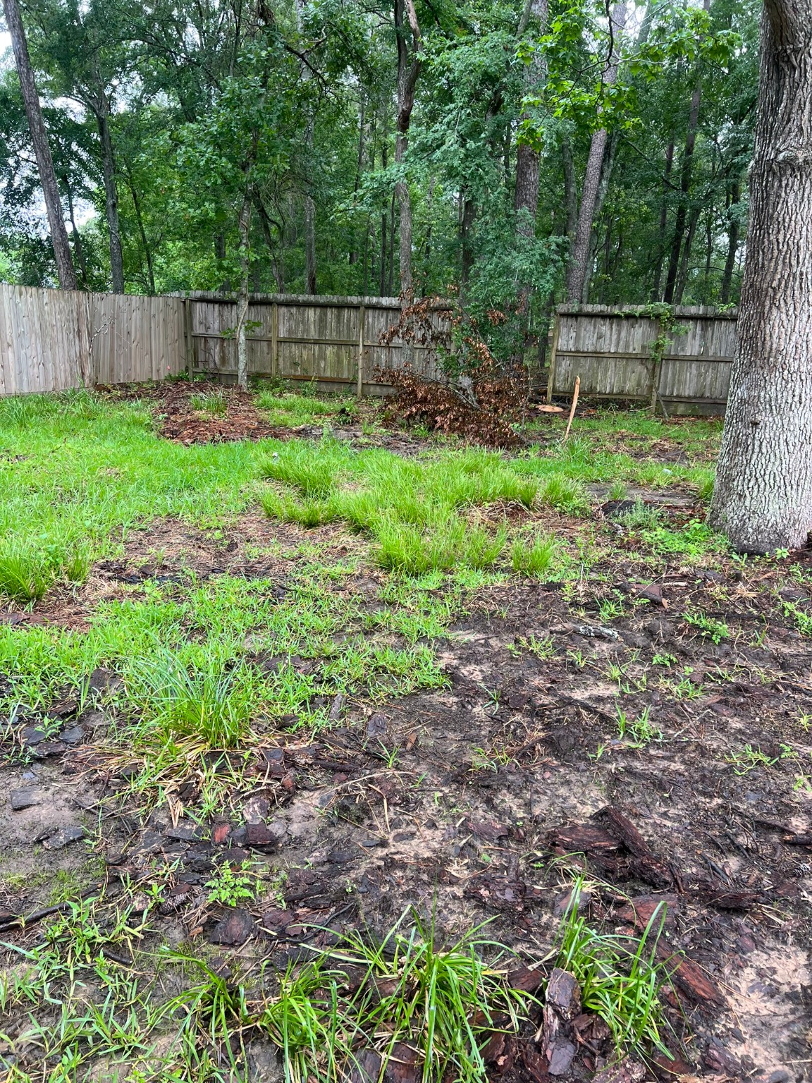 1309 Magnolia Point Drive Houston, TX 77336 - Photo 8 of 10 a view of a yard with a fence
