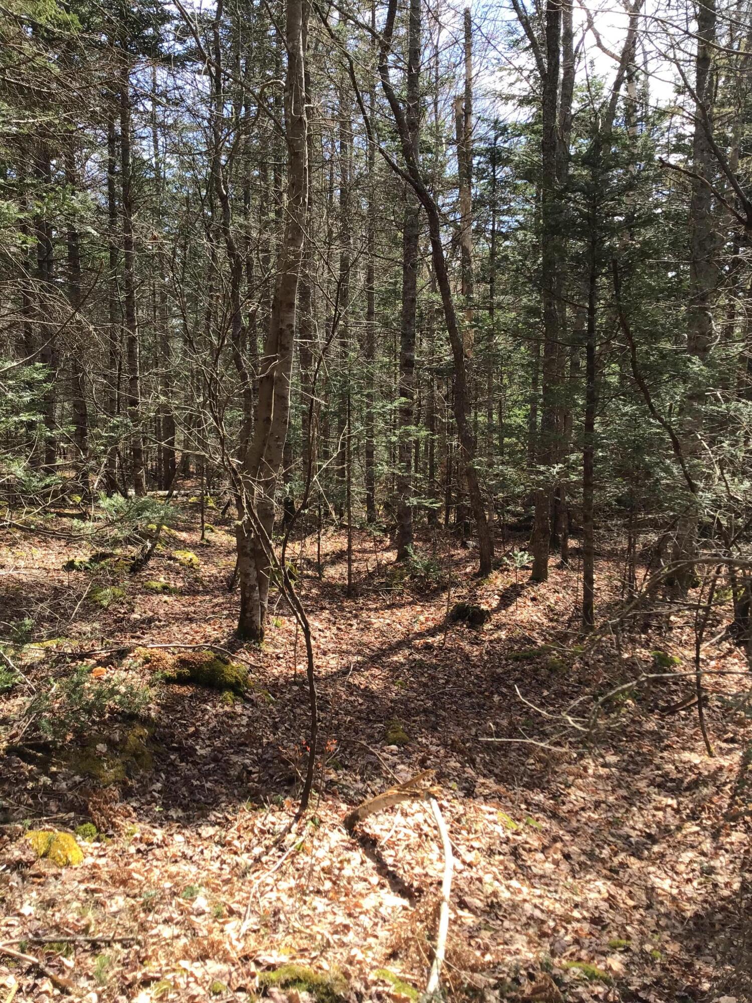 M11-l28h Bakers Point Road Steuben, ME 04680 - Photo 2 of 4 Bakers Point 2