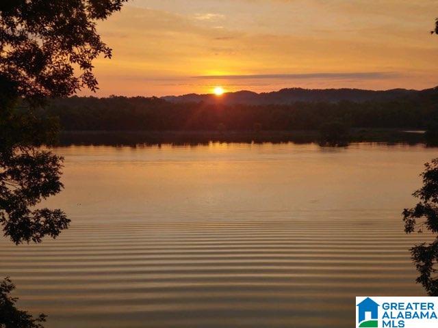 1500 Broken Arrow Creek Road Riverside, AL 35135 - Photo 1 of 15 Gallery Image 1
