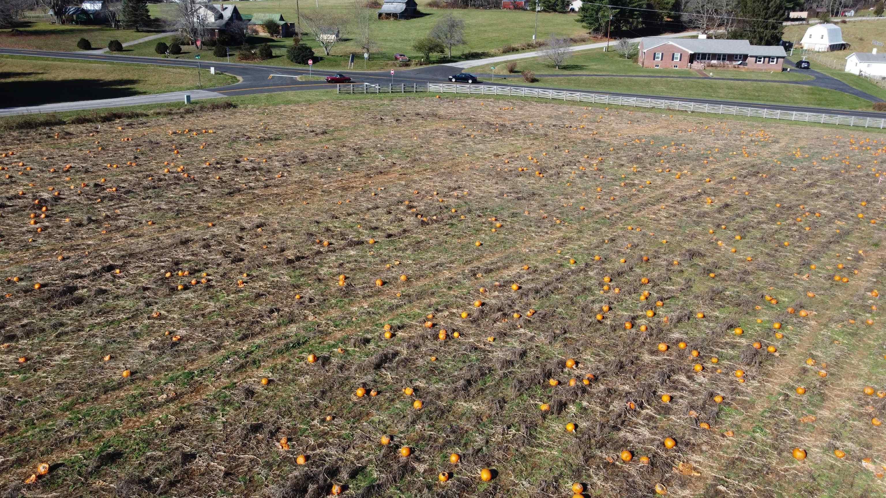 Tbd Long Level Road Southwest Floyd, VA 24091 - Photo 1 of 1 Gallery Image 1