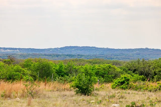 a view of mountain and trees