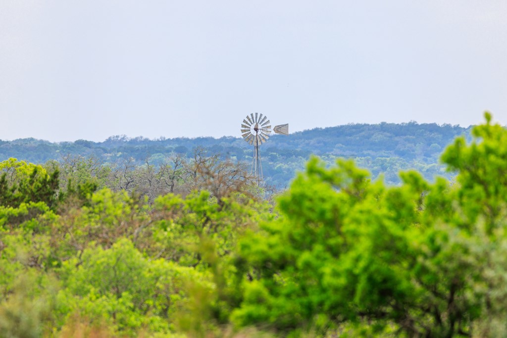 3276 Link Road Doss, TX 78618 - Photo 18 of 44 a view of a lush green field