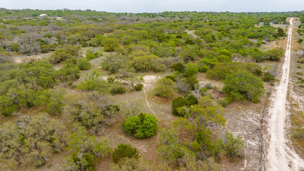 3276 Link Road Doss, TX 78618 - Photo 19 of 44 a view of a forest with an outdoor space