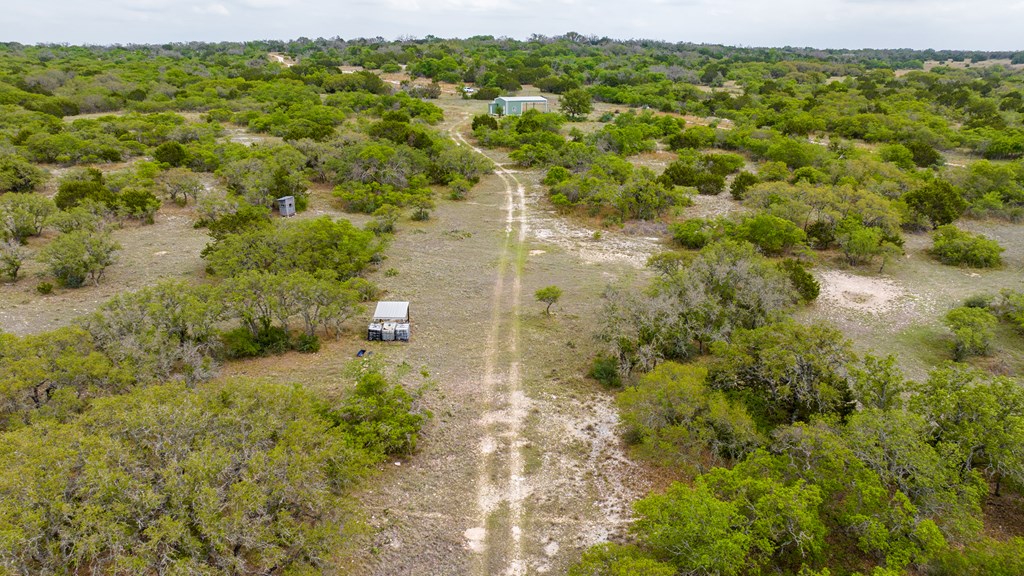 3276 Link Road Doss, TX 78618 - Photo 23 of 44 a view of a forest with a street