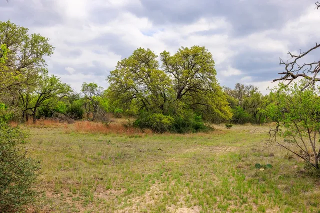 a view of a field with an trees