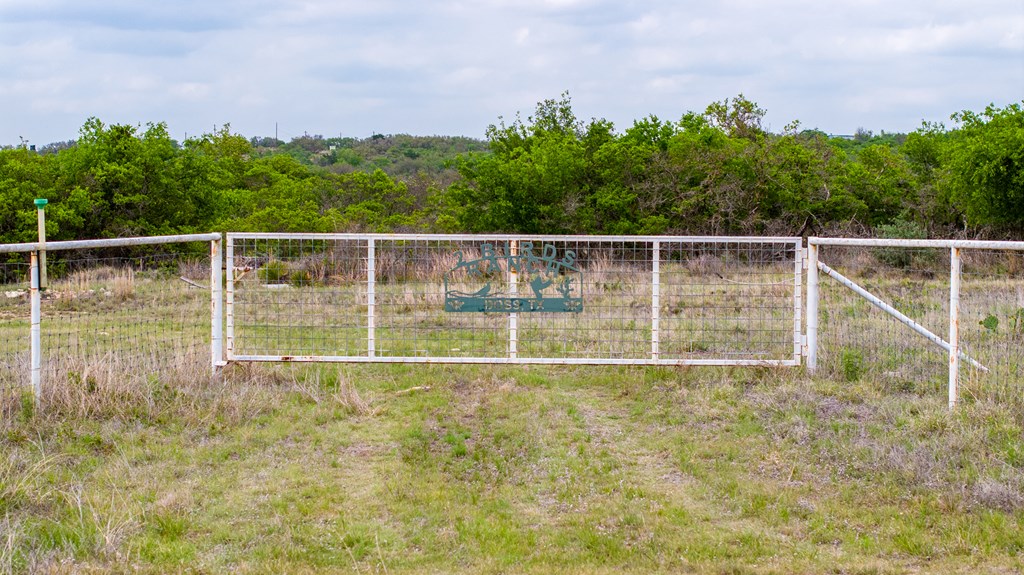 3276 Link Road Doss, TX 78618 - Photo 3 of 44 a view of an outdoor space