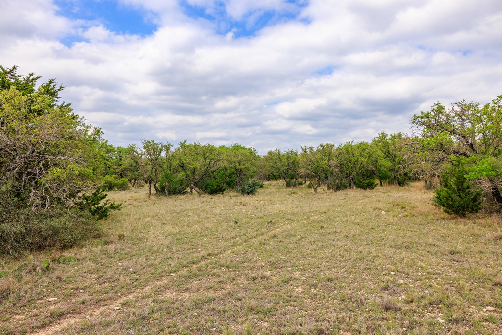3276 Link Road Doss, TX 78618 - Photo 38 of 44 a big yard with lots of green space and fog