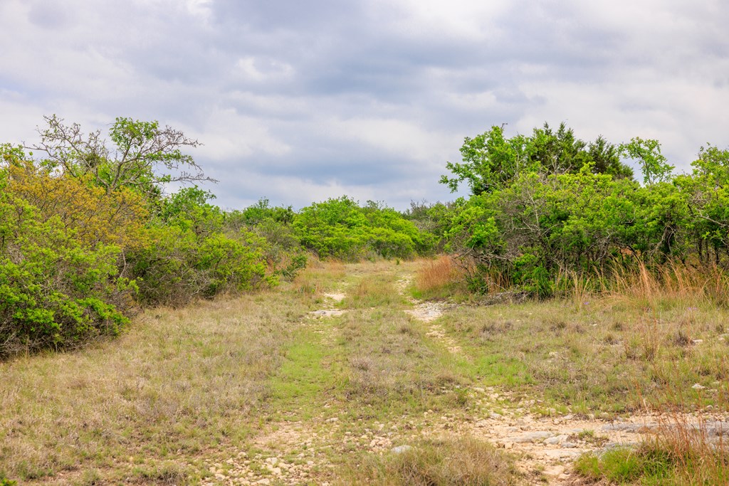 3276 Link Road Doss, TX 78618 - Photo 41 of 44 a backyard of a house with lots of green space