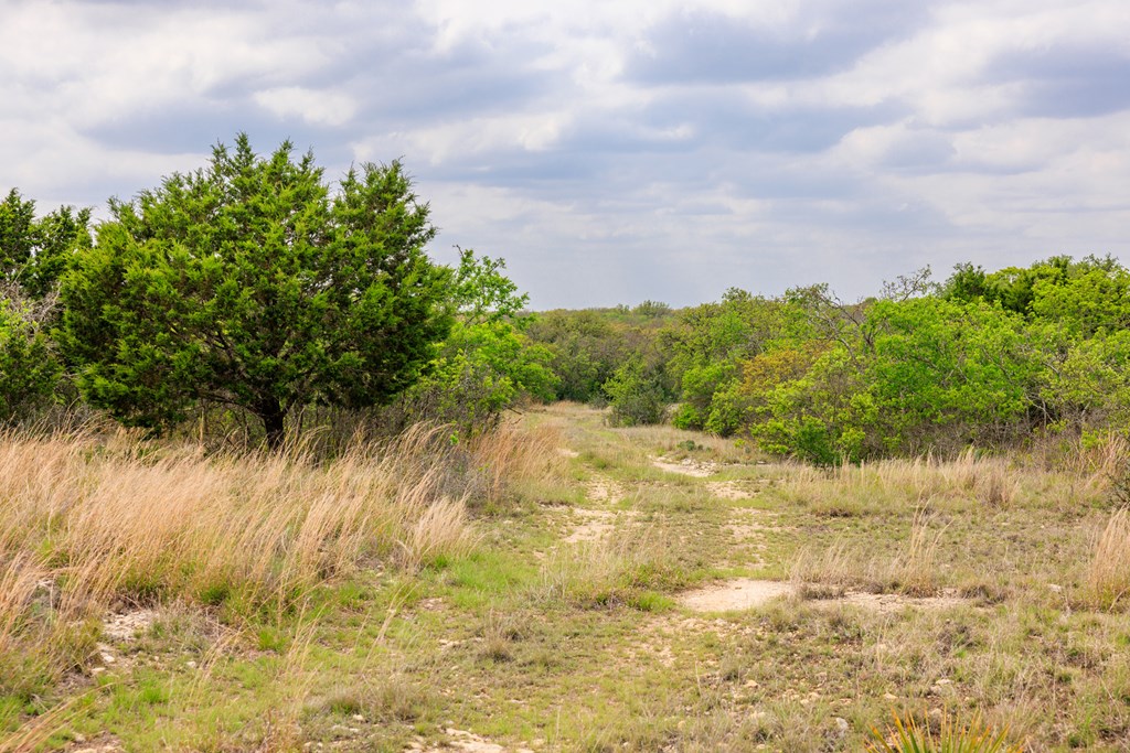 3276 Link Road Doss, TX 78618 - Photo 42 of 44 a view of a lake view