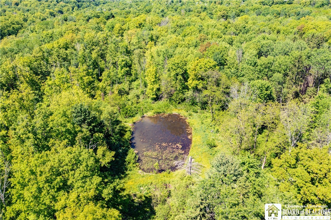 532 Eccles Road Kennedy, NY 14747 - Photo 3 of 29