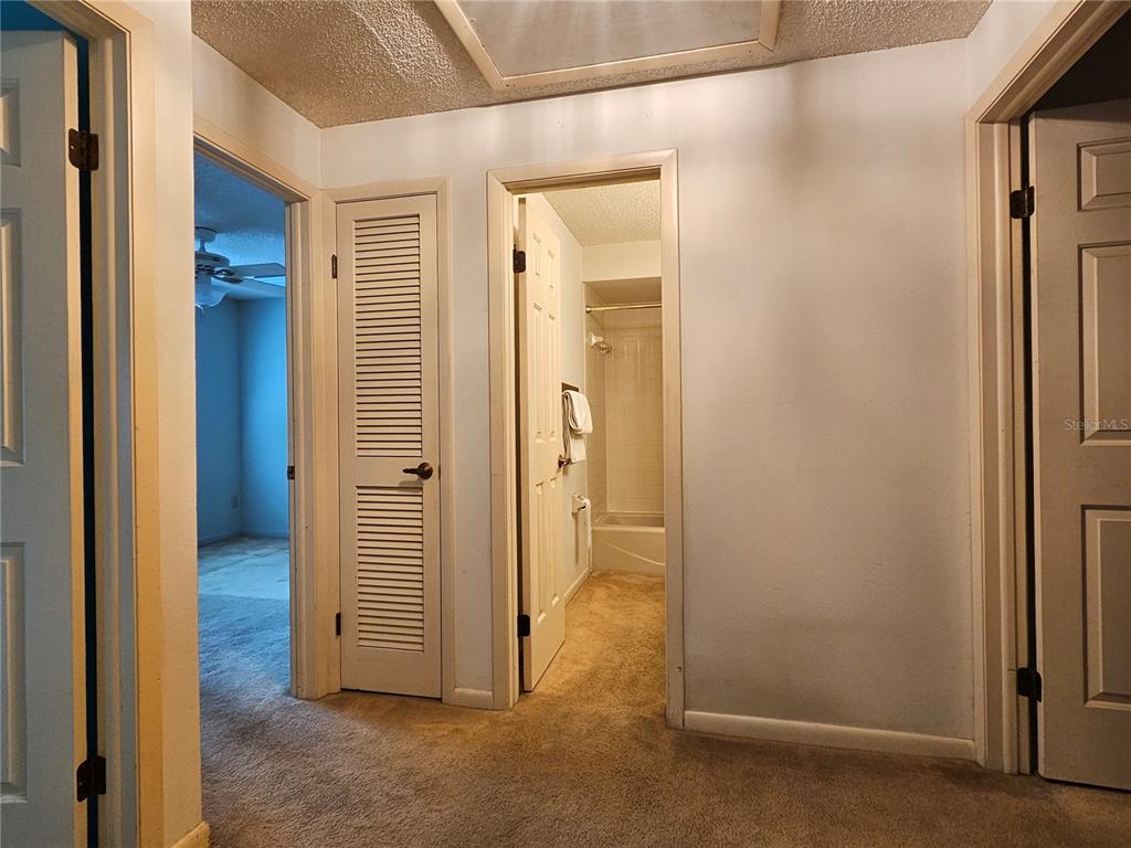 3418 West St Conrad Street Tampa, FL 33607 - Photo 11 of 24 a view of a bathroom with a bathroom