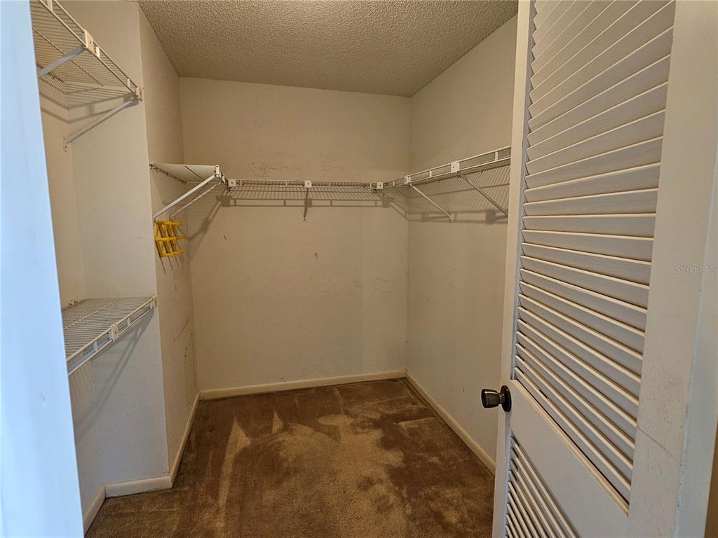 3418 West St Conrad Street Tampa, FL 33607 - Photo 14 of 24 a view of bathroom