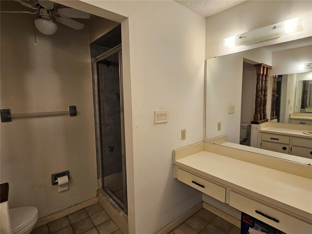 3418 West St Conrad Street Tampa, FL 33607 - Photo 16 of 24 a bathroom with a sink and a mirror
