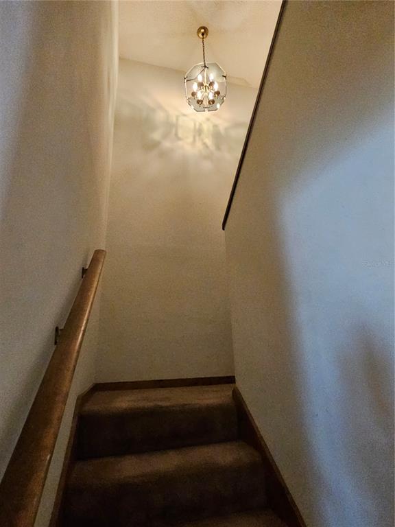 3418 West St Conrad Street Tampa, FL 33607 - Photo 10 of 24