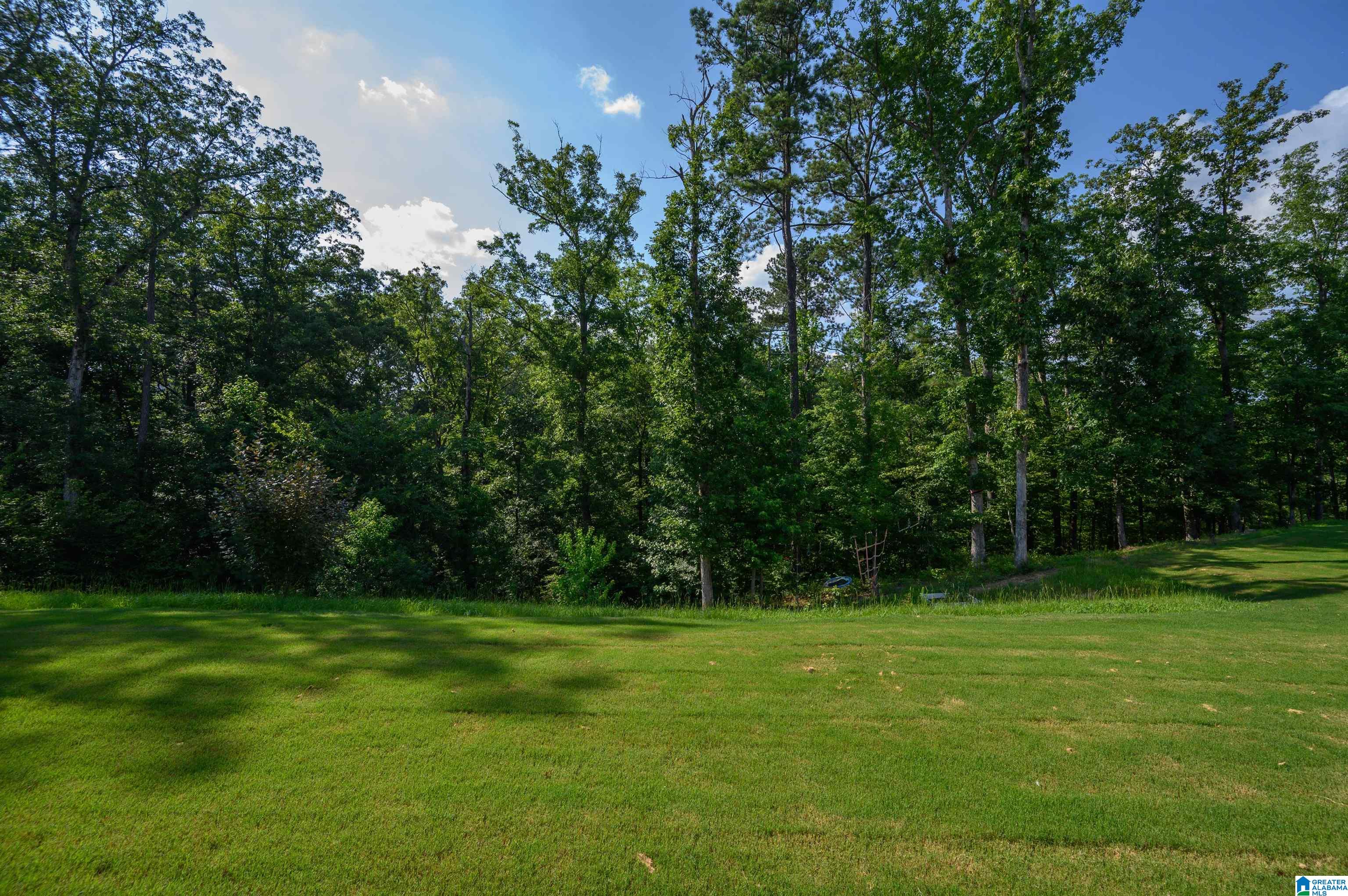 2145 Paramount Run Birmingham, AL 35244 - Photo 48 of 68 Gallery Image 48