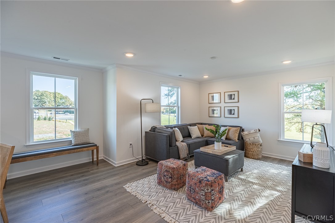 1602 Reed Marsh Place Goochland, VA 23063 - Photo 30 of 41 a living room with furniture and wooden floor