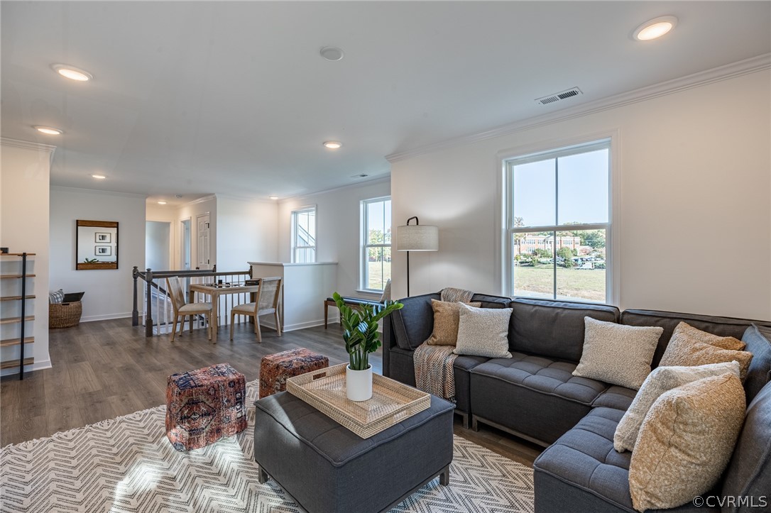 1602 Reed Marsh Place Goochland, VA 23063 - Photo 31 of 41 a living room with furniture and wooden floor