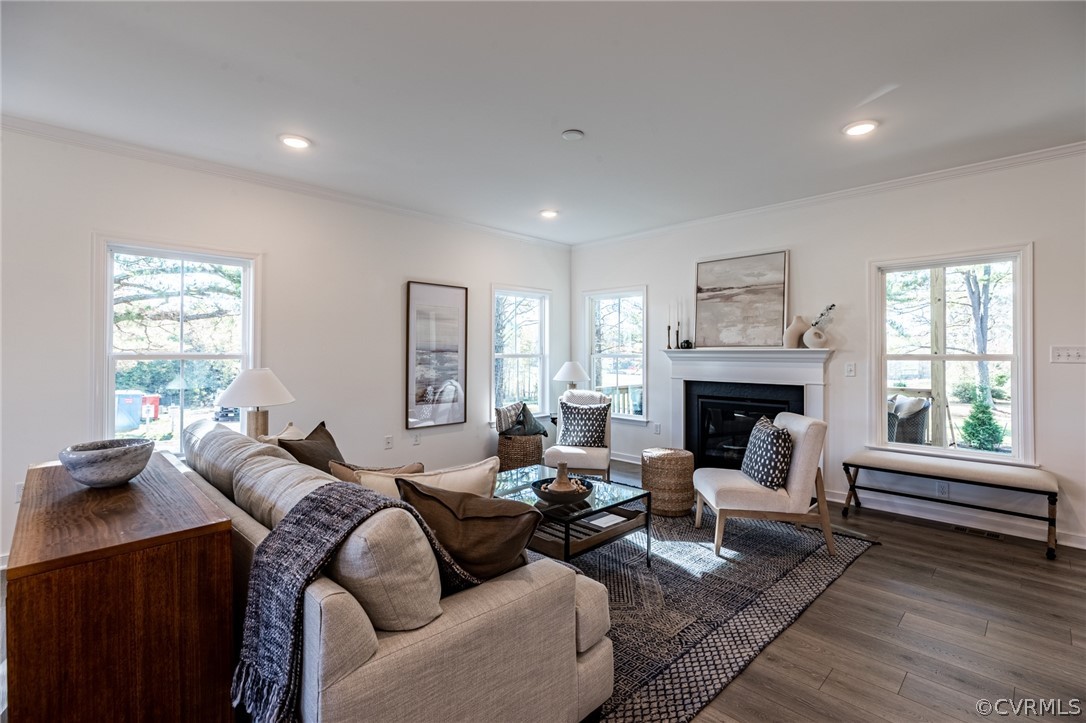 1602 Reed Marsh Place Goochland, VA 23063 - Photo 5 of 41 a living room with furniture and a fireplace