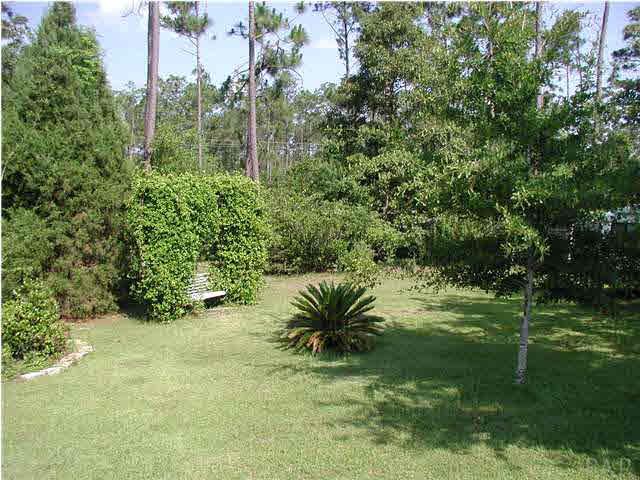 849 Copper Ridge Drive Cantonment, FL 32533 - Photo 11 of 13 Back Yard