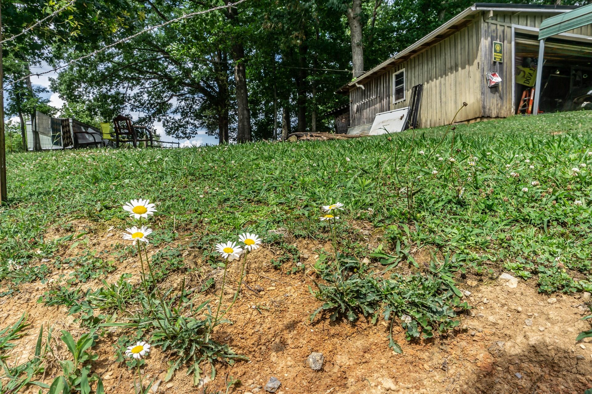 505 Arrowhead Loop Midway, TN 37809 - Photo 54 of 61 505ArrowheadM_027