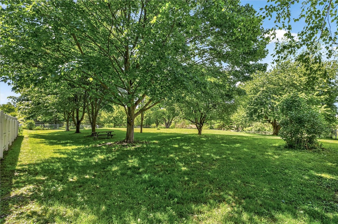 479 Churchville Riga Road Riga, NY 14428 - Photo 40 of 50 BEAUTIFUL LAWN!