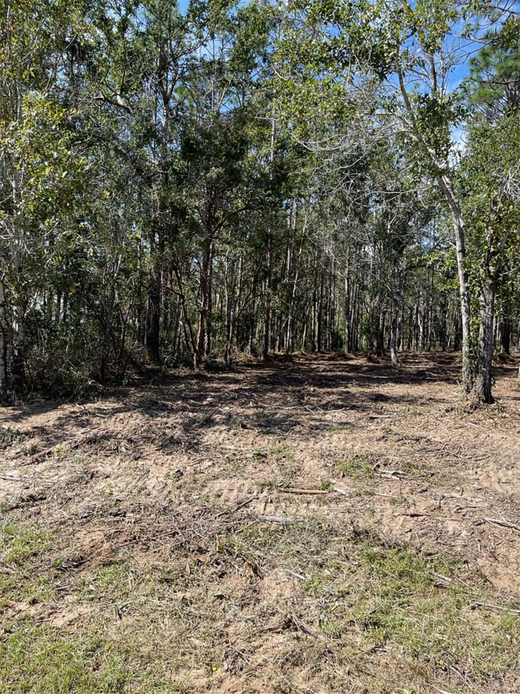 Lot 2 Tarklin View Drive Lillian, AL 36549 - Photo 19 of 21