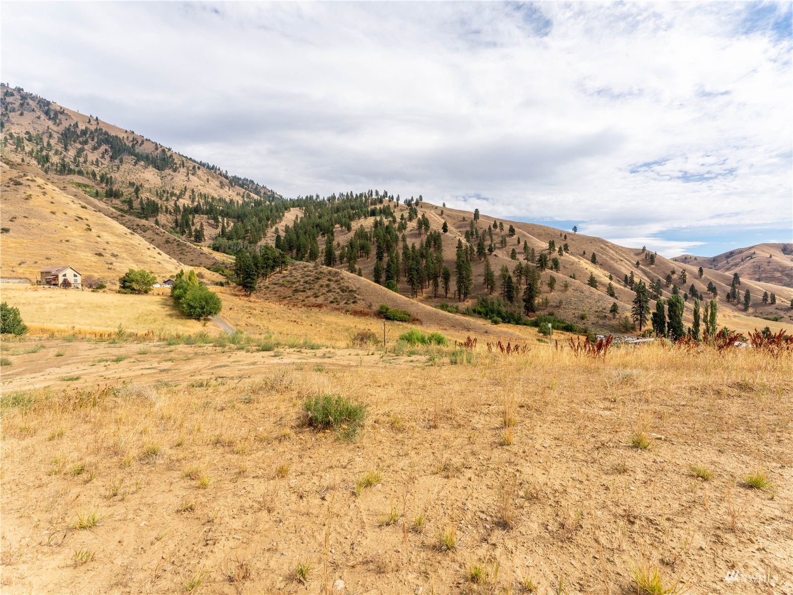 8650 Nahahum Canyon Road Cashmere, WA 98815 - Photo 13 of 16 Gallery Image 13