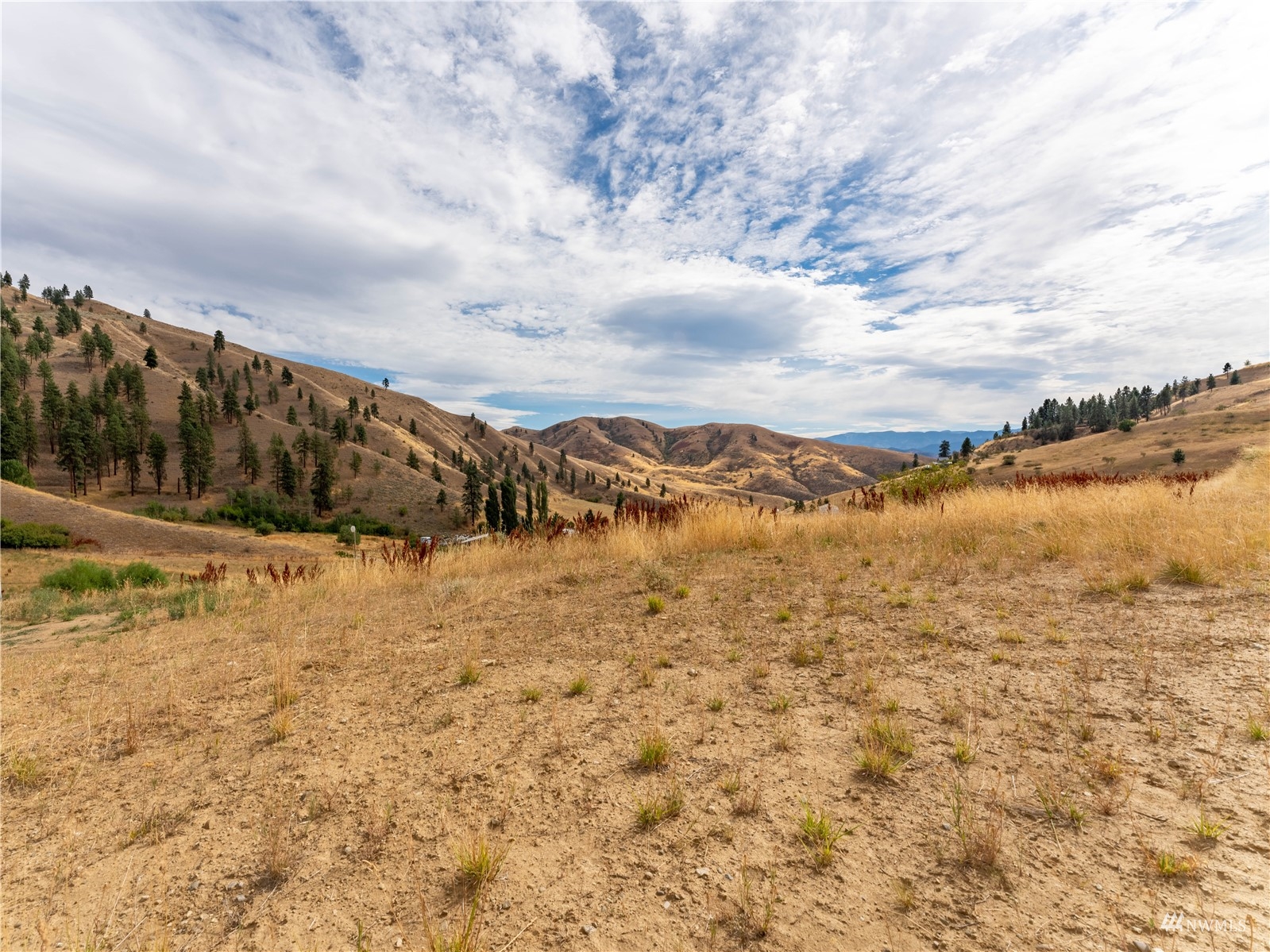 8650 Nahahum Canyon Road Cashmere, WA 98815 - Photo 3 of 16 Gallery Image 3