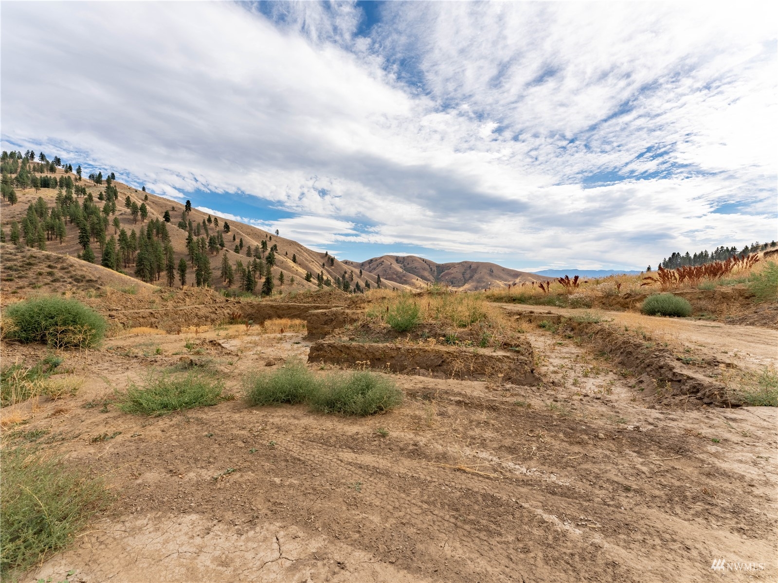 8650 Nahahum Canyon Road Cashmere, WA 98815 - Photo 4 of 16 Gallery Image 4