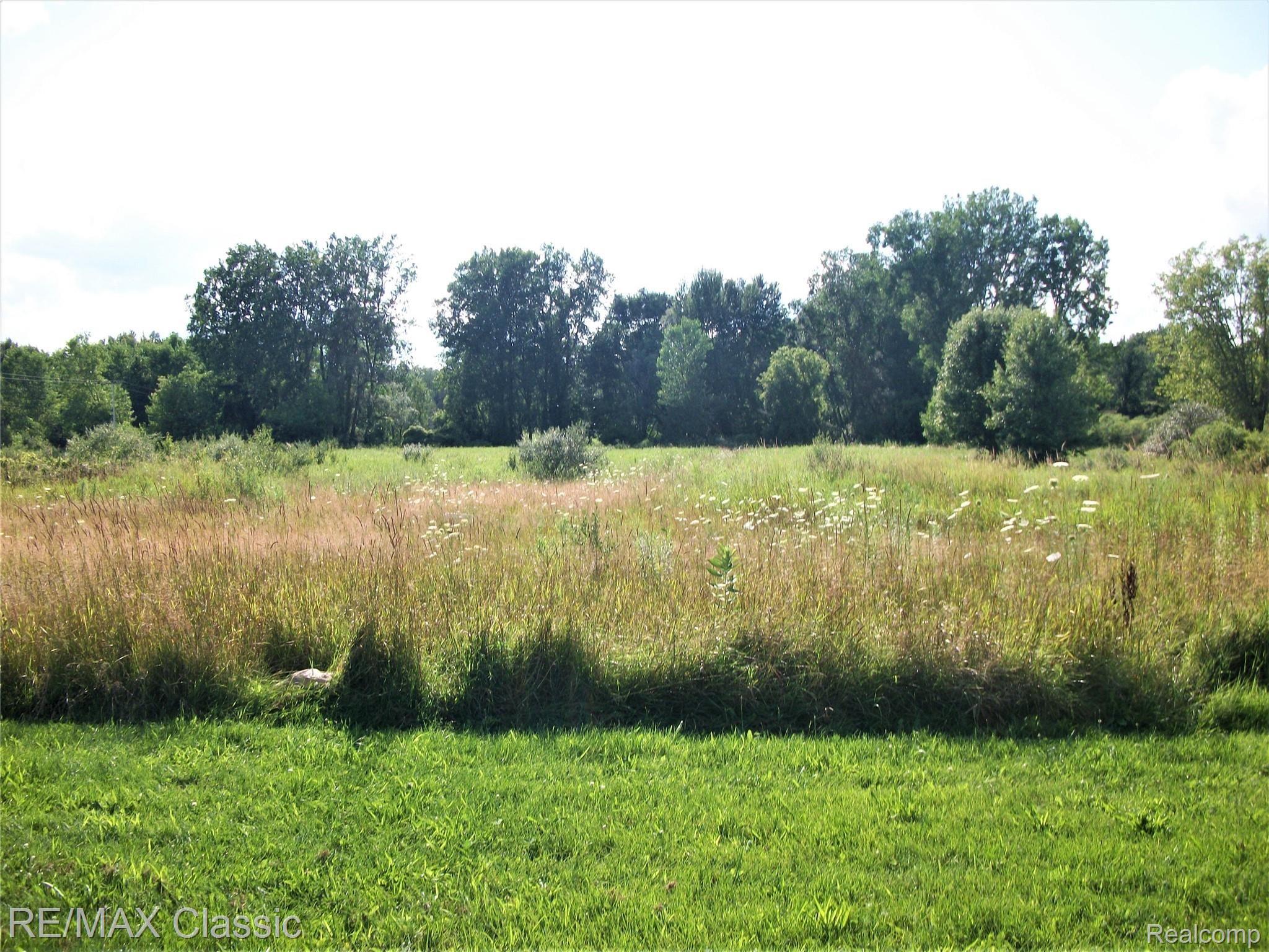 11455 North Nicholson Road Fowlerville, MI 48836 - Photo 24 of 28 103_3241.jpg