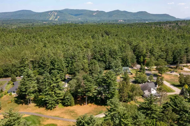 $1,295,000 | 7 Fairway Drive, Hale's Location, NH 03860