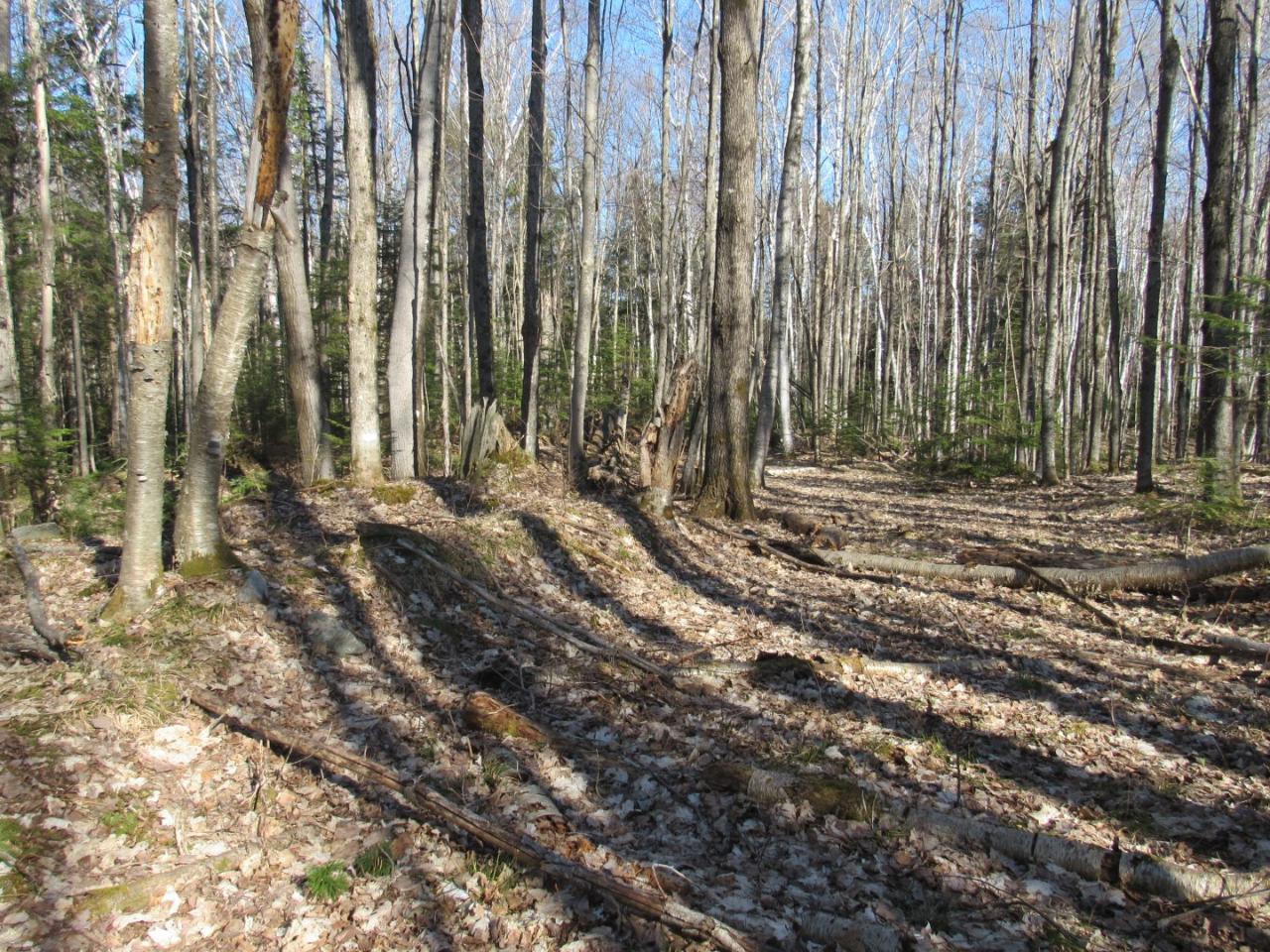 Along Hewitt Road, Unit LOT 1 Mercer, WI 54547 - Photo 19 of 32 Gallery Image 19