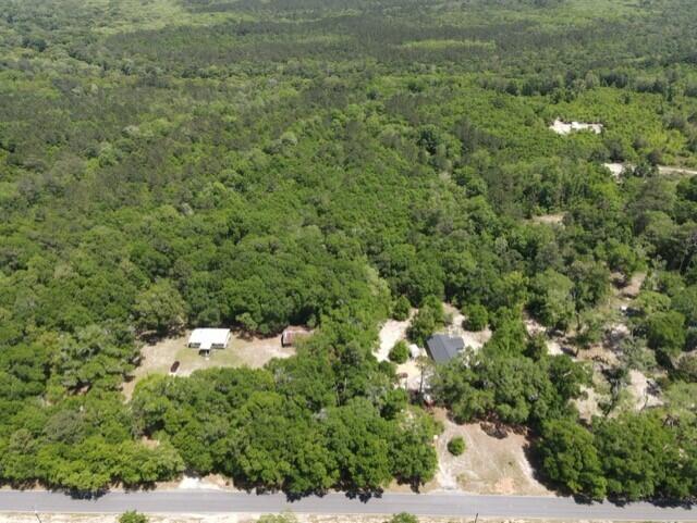 Tbd 37-ac Old River Road Baker, FL 32531 - Photo 37 of 41 a view of a forest with a houses