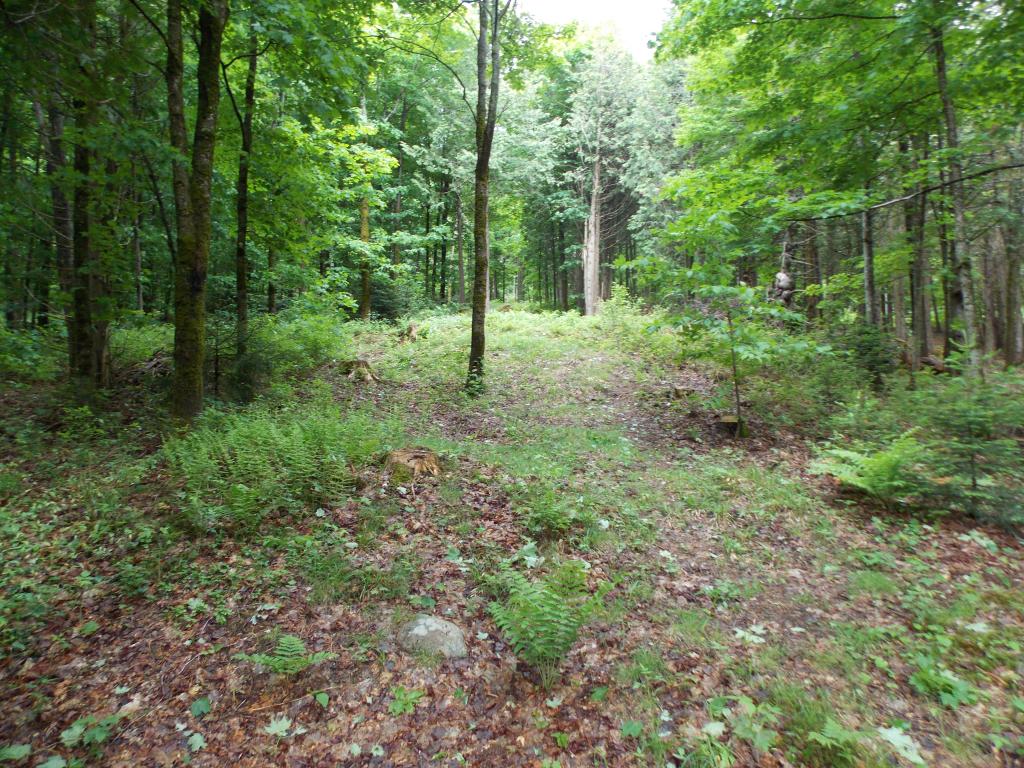1429 Beach Hill Road Glover, VT 05875 - Photo 5 of 26