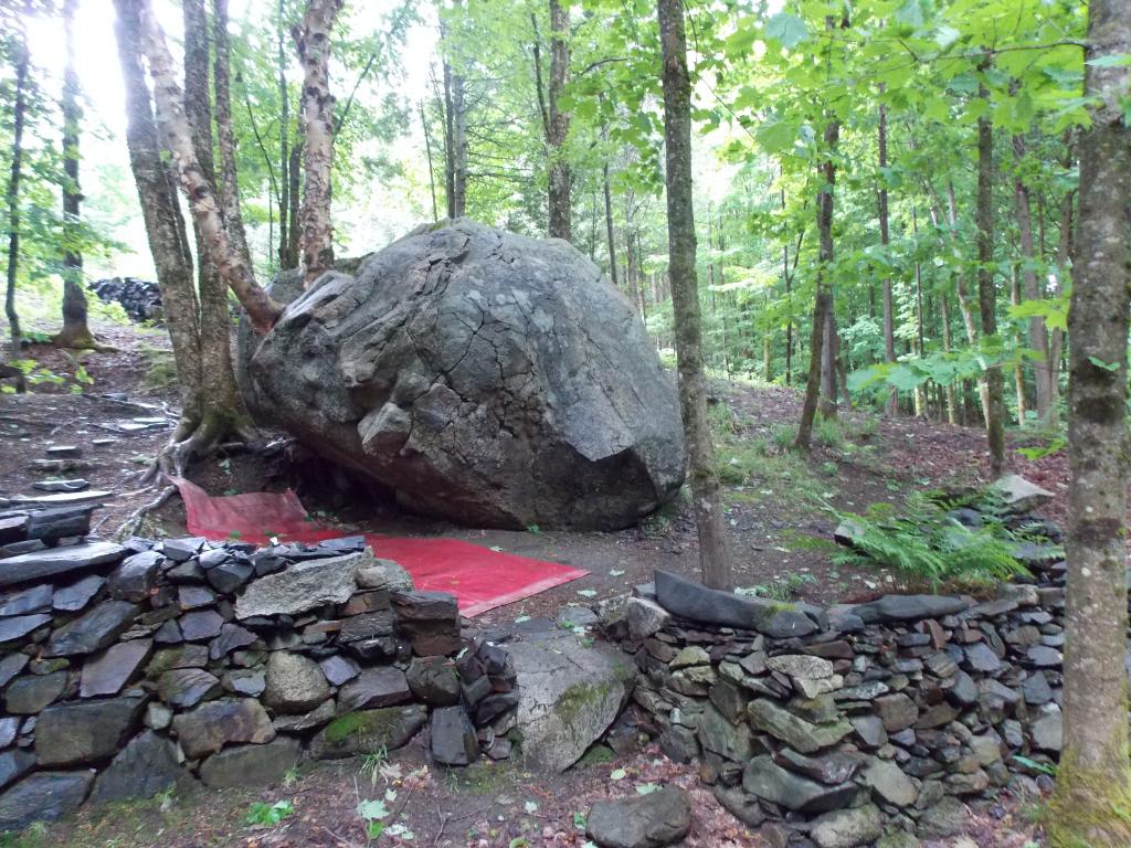 1429 Beach Hill Road Glover, VT 05875 - Photo 6 of 26