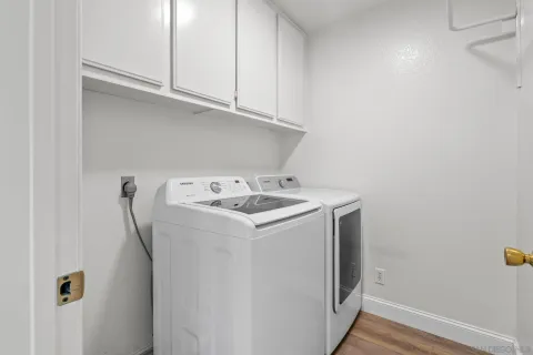 a view of a yard with plants