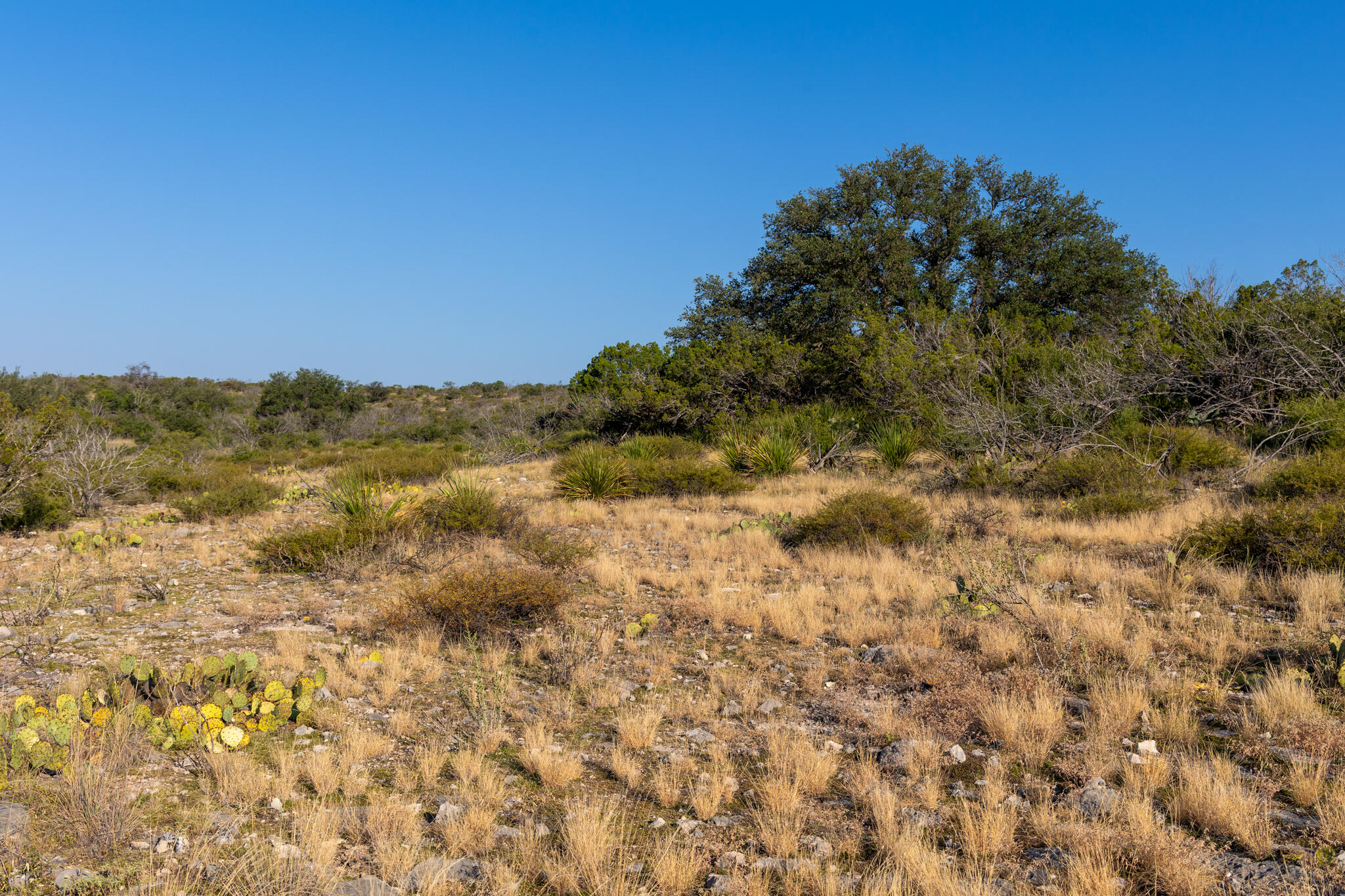 Tbd Windmill Road Ozona, TX 76943 - Photo 17 of 26 Leonard Ranch-16