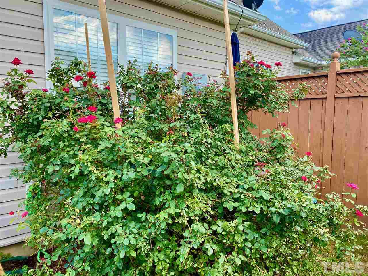 2746 Andover Glen Road Raleigh, NC 27604 - Photo 26 of 30 a view of a potted plant sitting in front of a house
