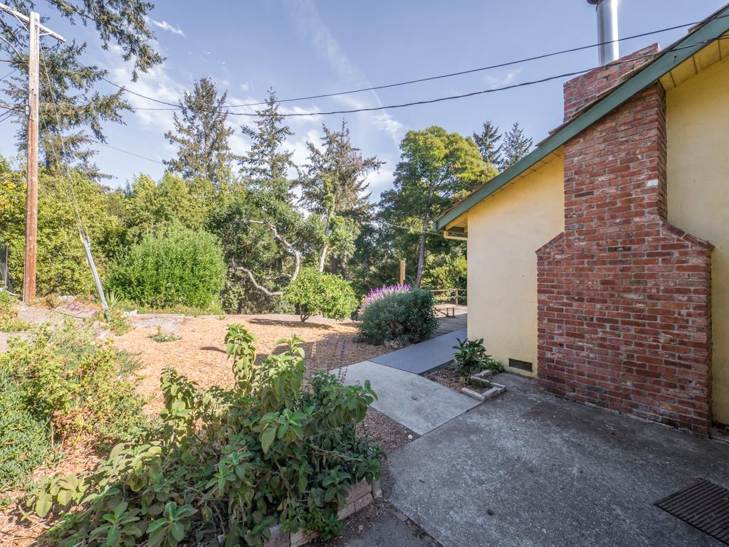 16 Oak Road Santa Cruz, CA 95060 - Photo 21 of 27 a backyard of a house with lots of green space