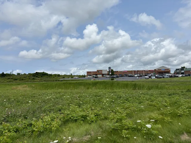 $699,999 | 0 Fairplain Drive, Benton Harbor, MI 49022