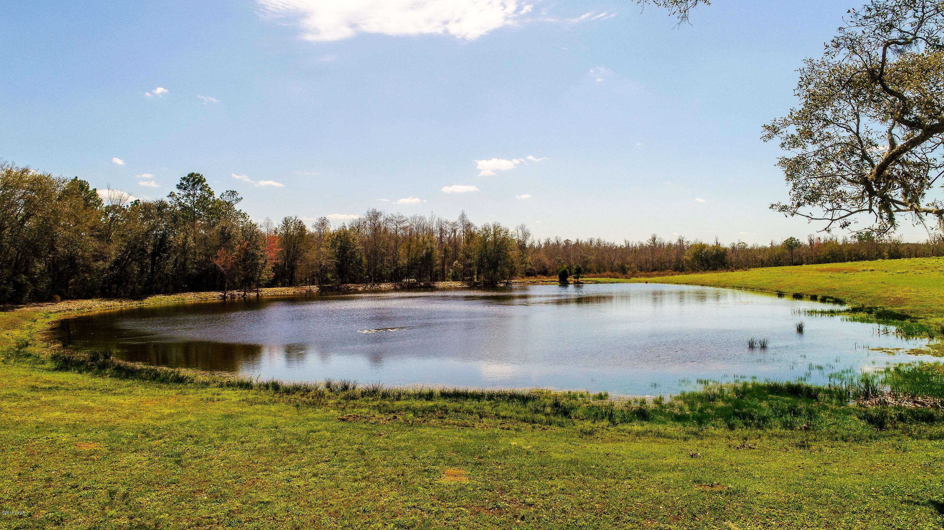 2192 Josey Road Bonifay, FL 32425 - Photo 3 of 26 Gallery Image 3