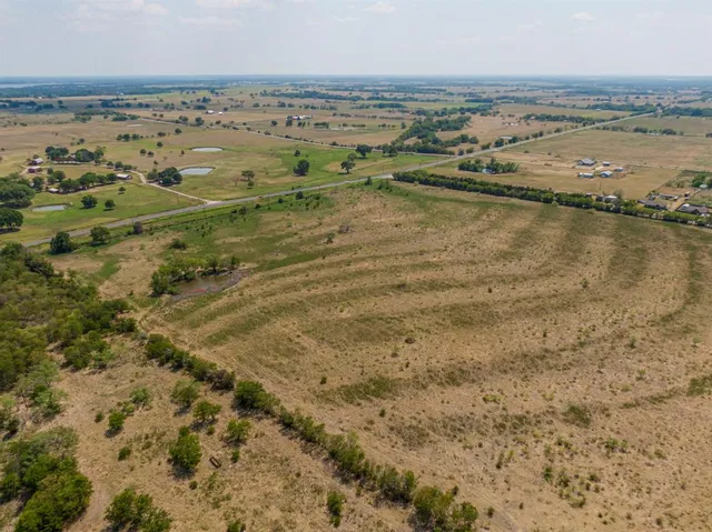 a view of outdoor space and tree