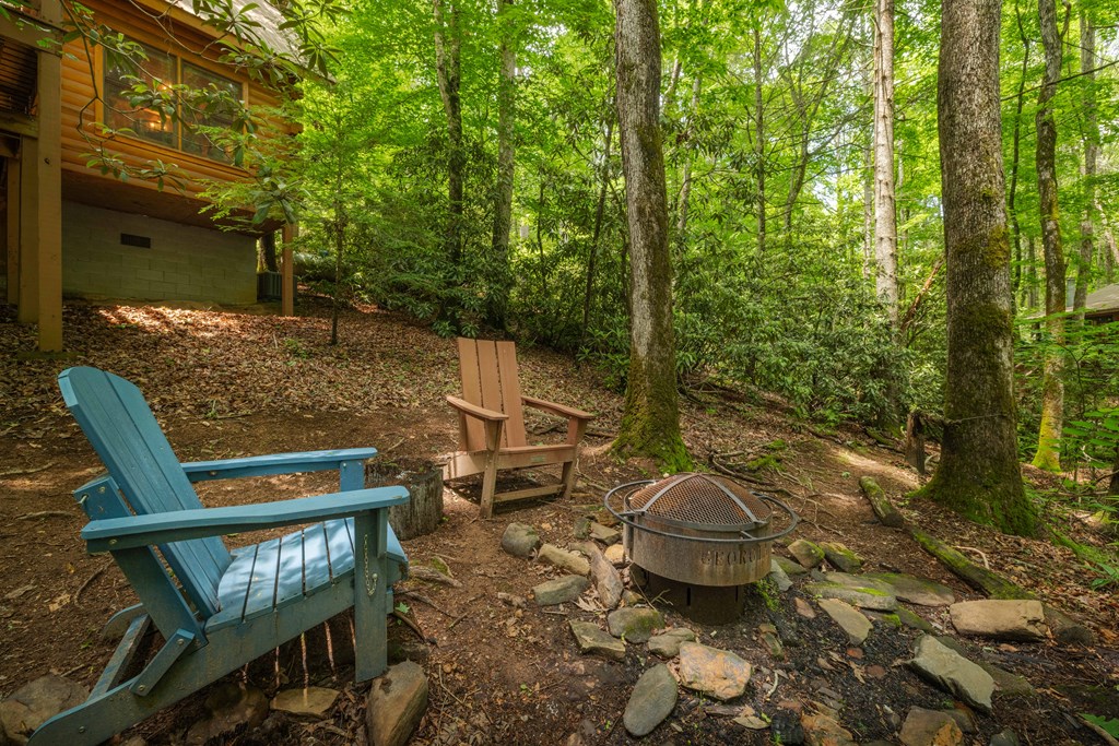 14 Finch Lane Blue Ridge, GA 30513 - Photo 17 of 24