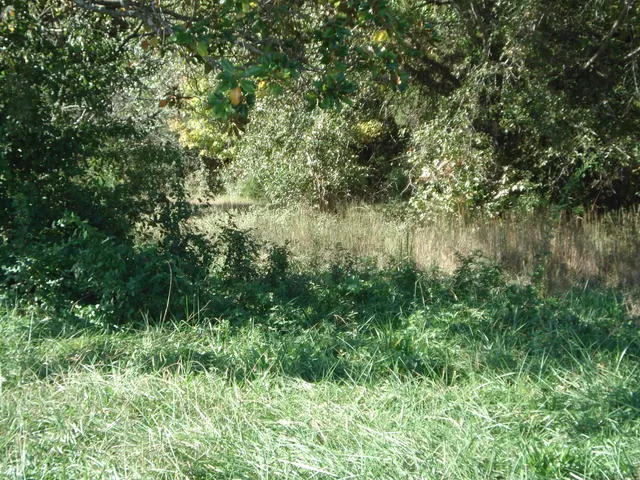 $1,200,000 | 5728 Reidville Road, Moore, SC 29369