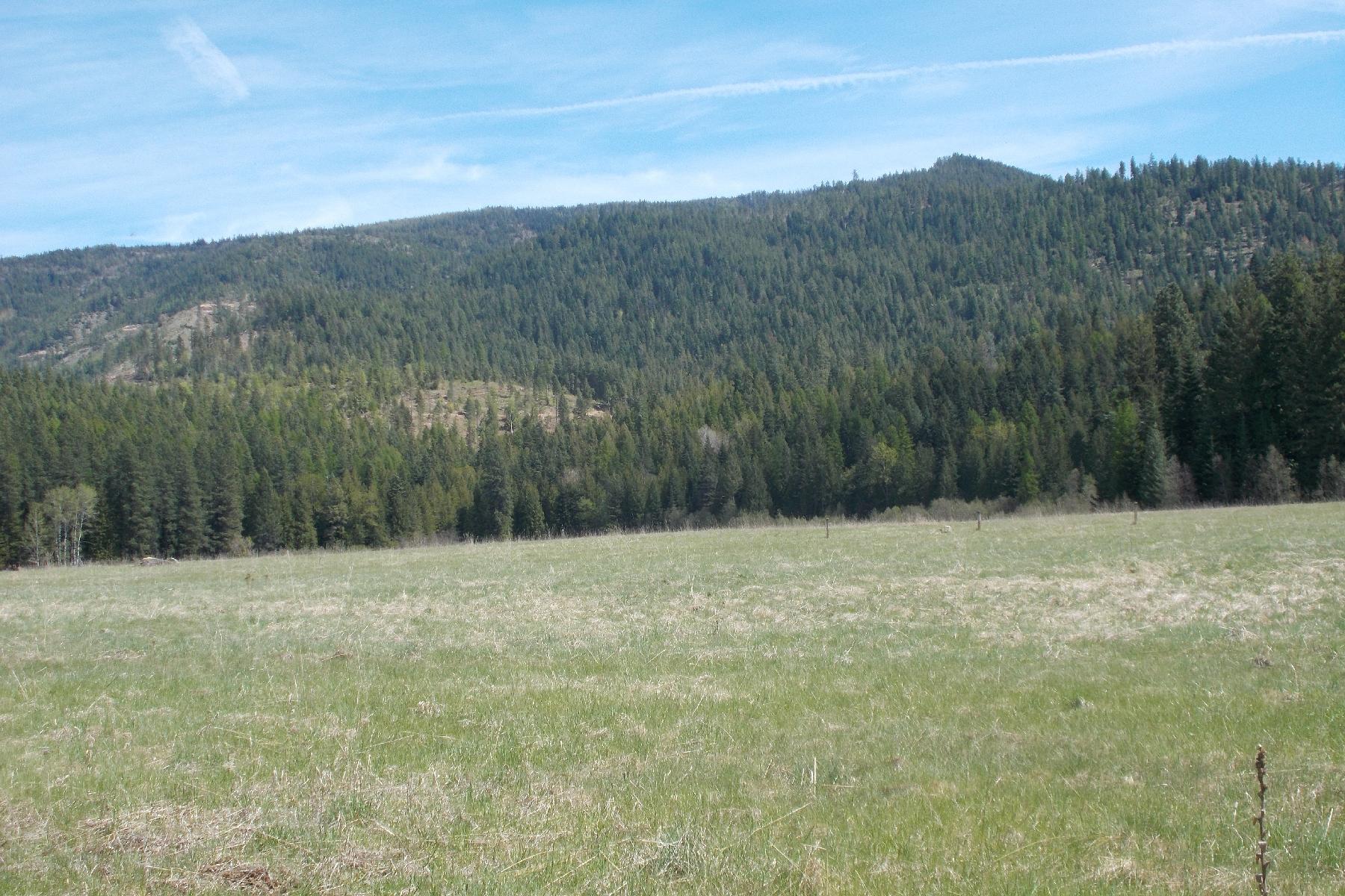 Meadow & mtn view