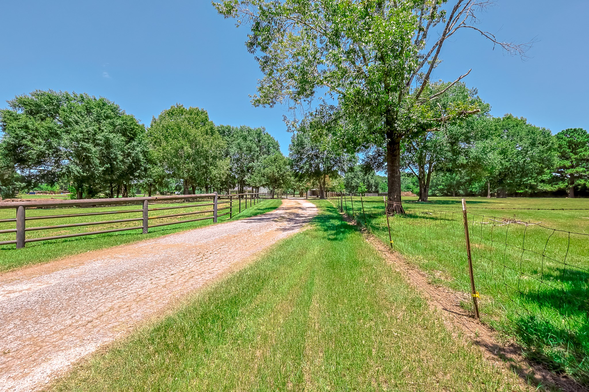 1066 Tafelski Road New Waverly, TX 77358 - Photo 3 of 50