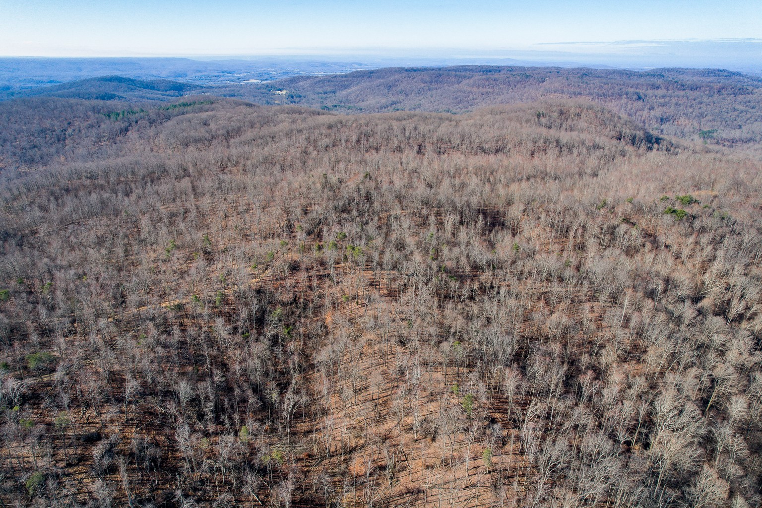 0 Board Valley Road Monterey, TN 38574 - Photo 1 of 32 Gallery Image 1